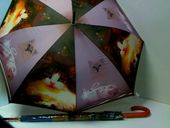 Parasol automat zwierzeta D30597 13318