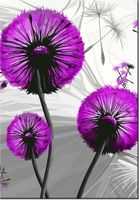 100 70CM OBRAZ PŁÓTNO DMUCHAWCE FIOLECIE PŁÓTNO RAMA