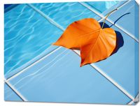 Obraz 90x70cm Liść przy Wodzie