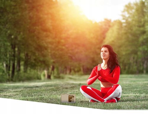 Radio TECHNISAT DIGITRADIO 2 DAB+ FM Mono na Arena.pl