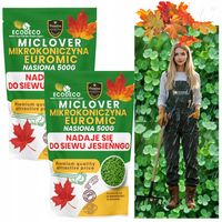 MikroKoniczyna do 800m2 Koniczyna Drobnolistna Dekoracyjna na Tereny Suche