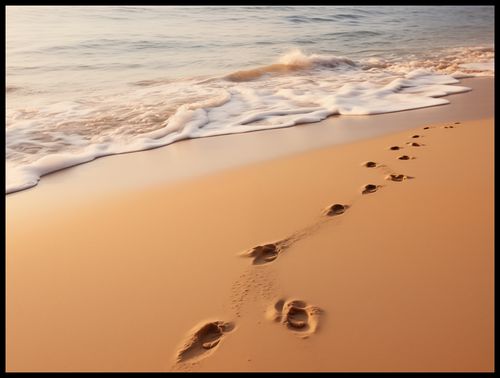 Plakat 100x75cm Szepty Fal na Arena.pl