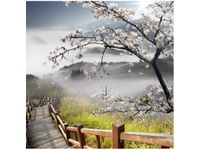 product-compare-58649036