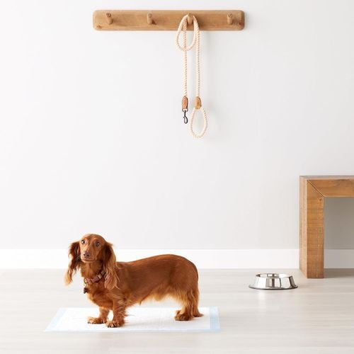 Podkłady Higieniczne Maty Do Sikania Dla Psów Kotów Chłonne 50Szt. 60X90 na Arena.pl