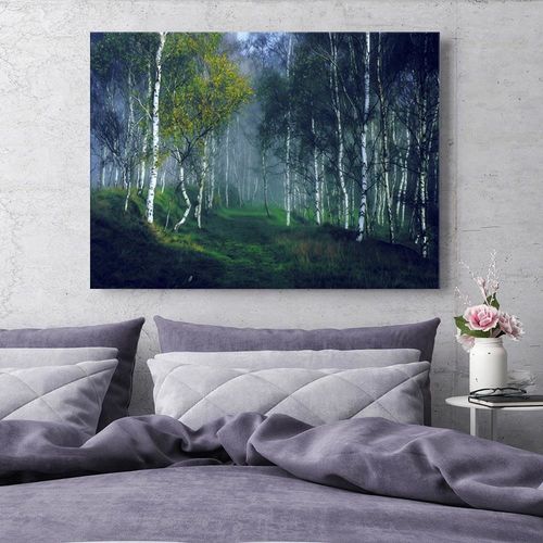 Obraz na płótnie - Canvas, Brzozy we mgle 60x40 na Arena.pl