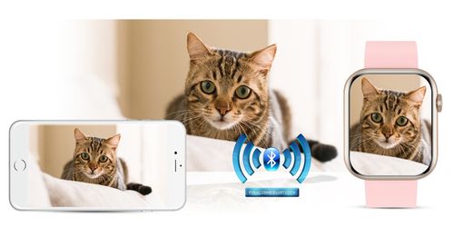 Smartwatch Damski Gravity GT3-1 na Arena.pl