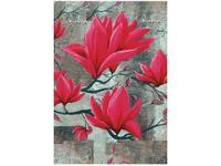 product-compare-58711647