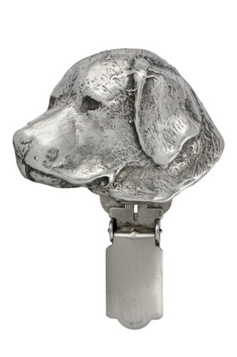 Labrador Retriever - klips - 307 na Arena.pl