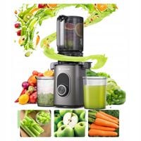 Wolnoobrotowa Wyciskarka Soku 150W Do Owoców I Warzyw Pionowa Mocna Szara