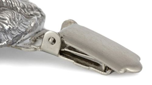 Norwich Terrier - klips - 689 na Arena.pl