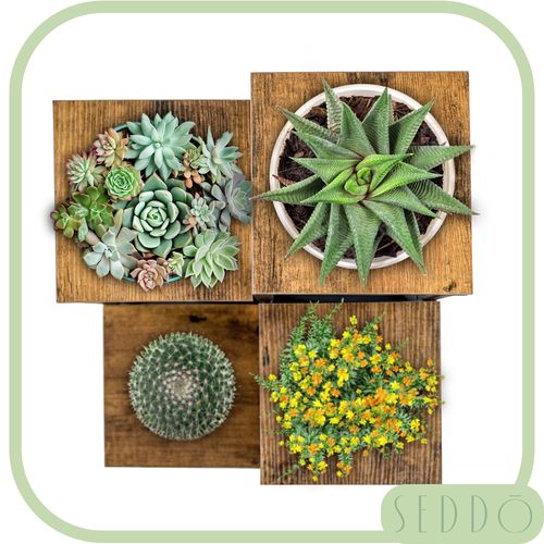 Kwietnik na rośliny 4 poziomy loftowy 68 cm Harmony na Arena.pl