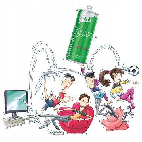 RED BULL Napój Energetyczny Green kaktus 12x250ml ZESTAW na Arena.pl