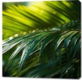 Obraz 90x90cm Zielona Kondensacja