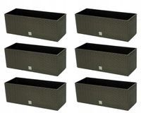 Doniczka balkonowa RATO DRTC500, 6 szt. | Umbra, Wymiary 40x60x50 cm, Prosperplast