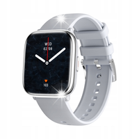 Smartwatch myPhone Watch Pastel Silver