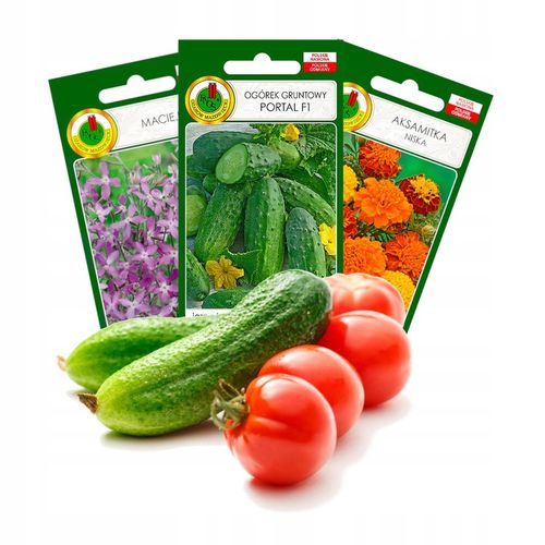 DONICZKA WIELODONICZKA DO SIEWU ROZSAD 60 szt TACA na Arena.pl