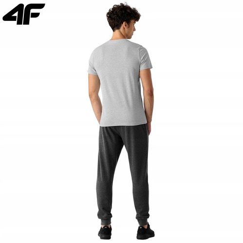 KOSZULKA MĘSKA 4F T-SHIRT KOLEKCJA LIMITOWANA M na Arena.pl