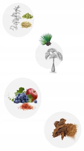 Witaminy na Prostatę Wsparcie Układu Moczowego Naturalny Beta-Sitosterol na Arena.pl