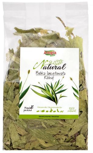 Alegia Babka lancetowata 100g na Arena.pl