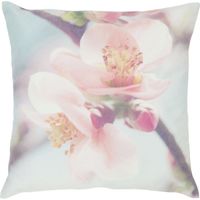 product-compare-52998399