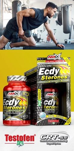 Booster Testosteronu, Libido - ecdysteroidy ECDYSTERON TESTOSTERON TABLETKI na Arena.pl
