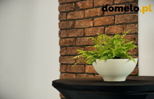 DONICZKA PLANET 260 A1 na Arena.pl