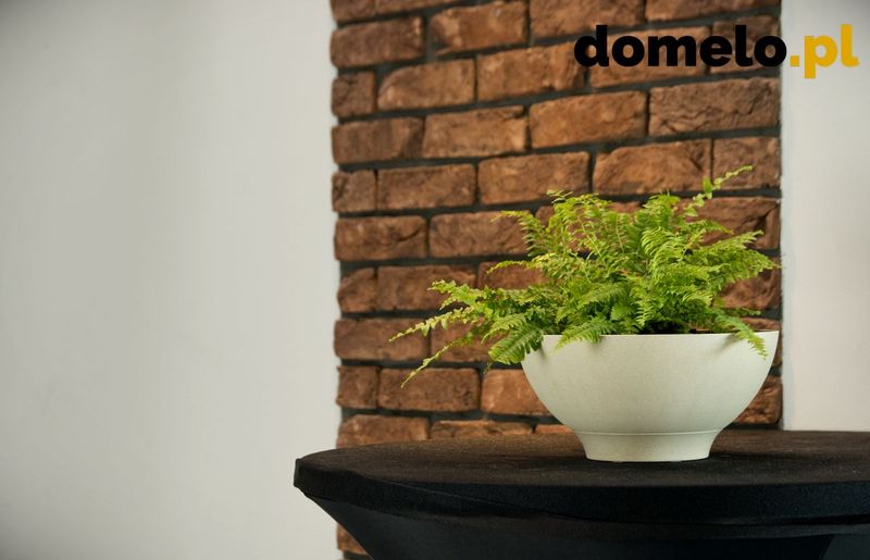 DONICZKA PLANET 260 A1 zdjęcie 6