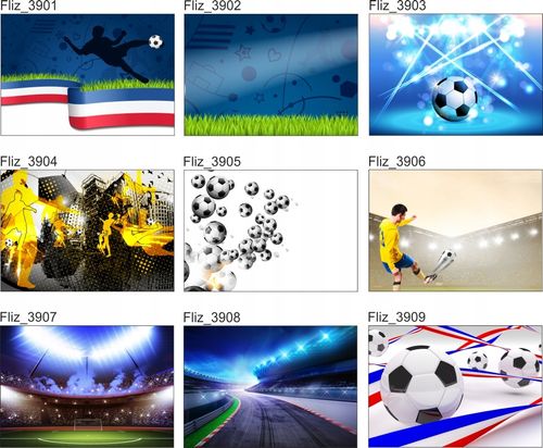 FOTOTAPETA PIŁKI DO SIATKÓWKI KOSZYKÓWKI NOŻNE na Arena.pl