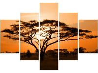 product-compare-58676503