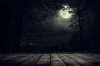 FOTOTAPETA KSIĘŻYC NOCĄ DESKI LAS DRZEWA WIDOK