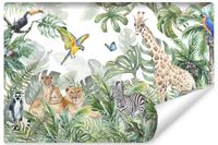 product-compare-55767291