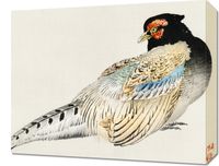 Obraz 50x40cm Peregrine Falcon, Kōno Bairei Japoński Vintage do Salonu