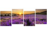 45CM 120 OBRAZ 4 ELEM POLE LAWENDY ŚCIENNY