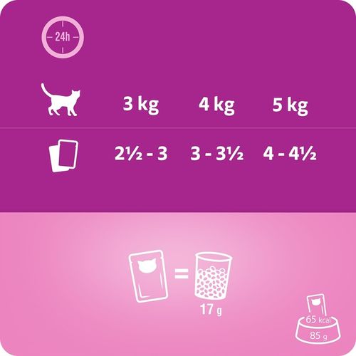 SASZETKI WHISKAS AROMATIC SELECTION AROMATYCZNA MIESZANKA W SOSIE na Arena.pl