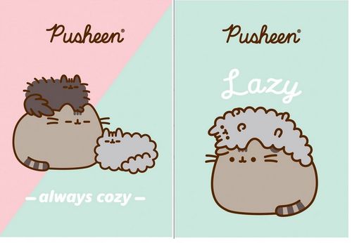 Zeszyt A4 32k krata laminowany PUSHEEN 5249 A'15 na Arena.pl