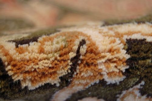 Dywan REGIUS OZYRYS sahara na Arena.pl