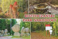 Roztoczański Park Narodowy – magnes