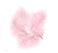 PIÓRA INDYCZE 15CM 5 SZT RÓŻOWE CEPI-041 DP CRAFT