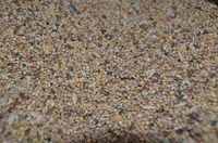 Karma dla dzikich ptaków gołębi drobne ziarno Omix