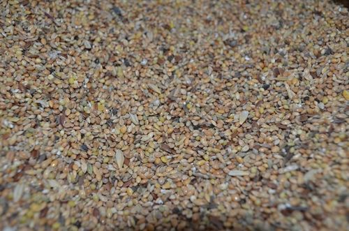 Karma dla dzikich ptaków gołębi drobne ziarno Omix na Arena.pl