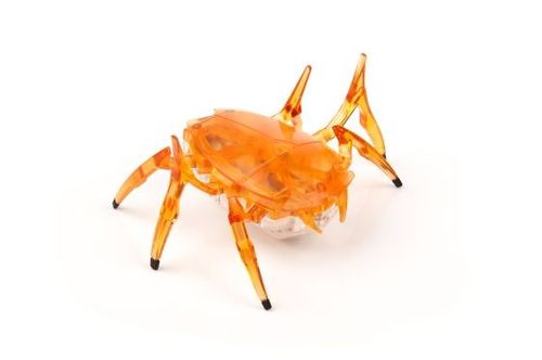 HEXBUG Skarabeusz na Arena.pl