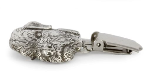 Border Terier - klips - 264 na Arena.pl