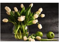 product-compare-58693316