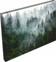 OBRAZ na płótnie LAS WE MGLE WIDOK NATURA 120x80