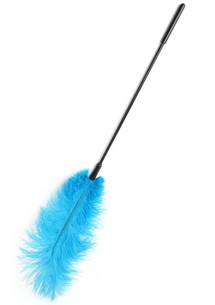 Double Feather Tickler Blue zdjęcie 1