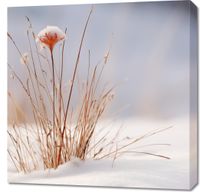 Obraz 70x70cm Zima w Detalach