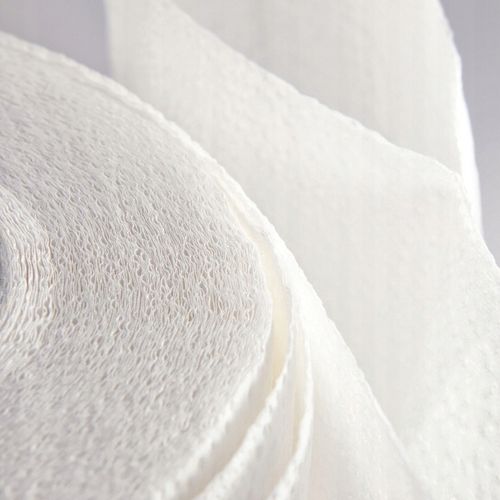 ręcznik papierowy 1r słonik jumbo maxi 300 list 2w - 1 szt. na Arena.pl