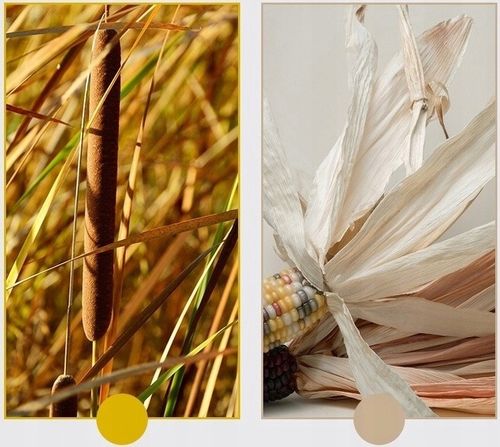 Legowisko Dla Kota Psa Kosz Okrągły Pleciony + Miękka Poduszka na Arena.pl