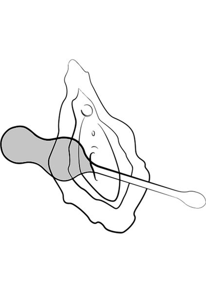 Cello Green zdjęcie 13