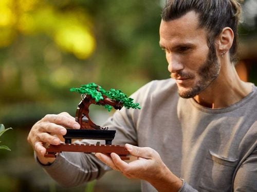 10281 - LEGO Creator - Drzewko bonsai na Arena.pl